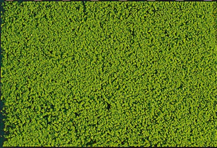 Mikro-Flor grün