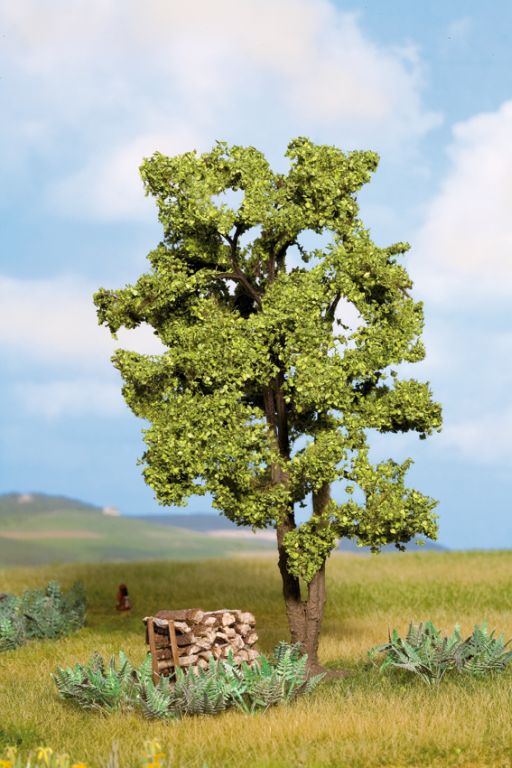 Mehrstämmige Akazie 15cm - NOCH PROFI - Mehrstämmige Akazie Bäume sind ein unverzichtbarer