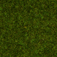 Streugras Wiese, 2,5 mm - "Die 2,5 mm lange Grasfaser ist die ""Standard-Länge"" für H0. "