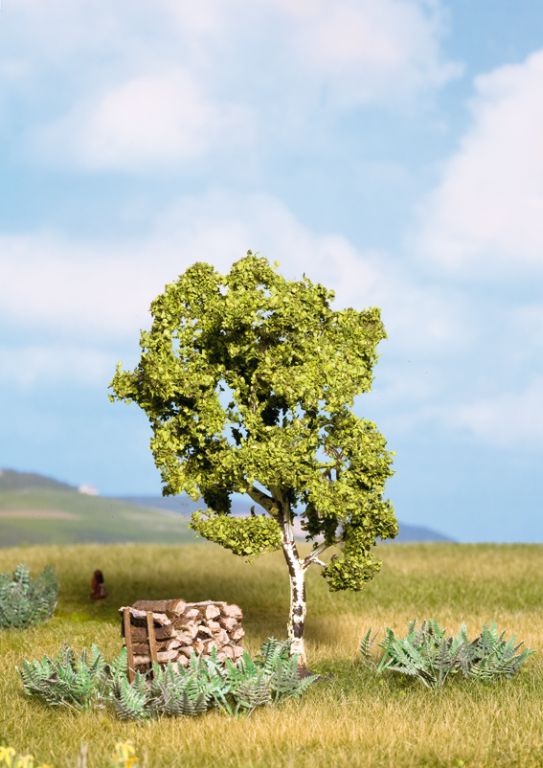 Birke, 11,5 cm hoch - NOCH PROFI-Birke Bäume sind ein unverzichtbarer Teil einer reiz