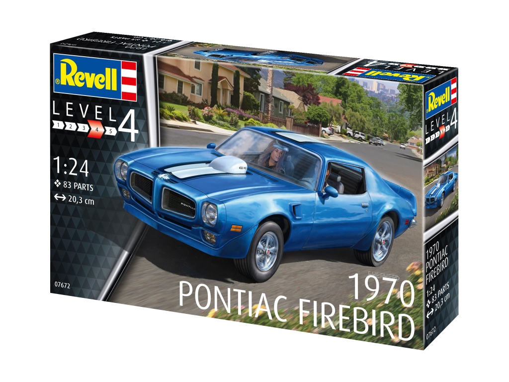 1970 Pontiac Firebird - 1970 Pontiac Firebird