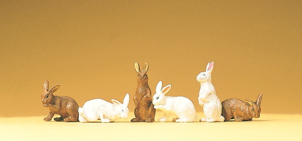 3 Kaninchen Sort.LGB