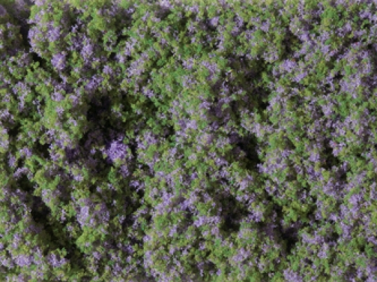 Blumenmatte violett - Blumenmatte violett