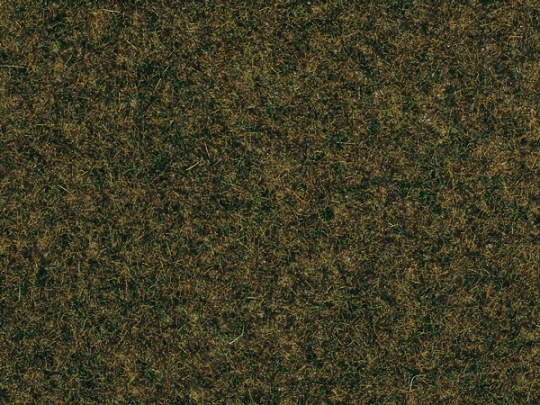 1 Waldbodenmatte - Waldbodenmatte 35 x 50 cm