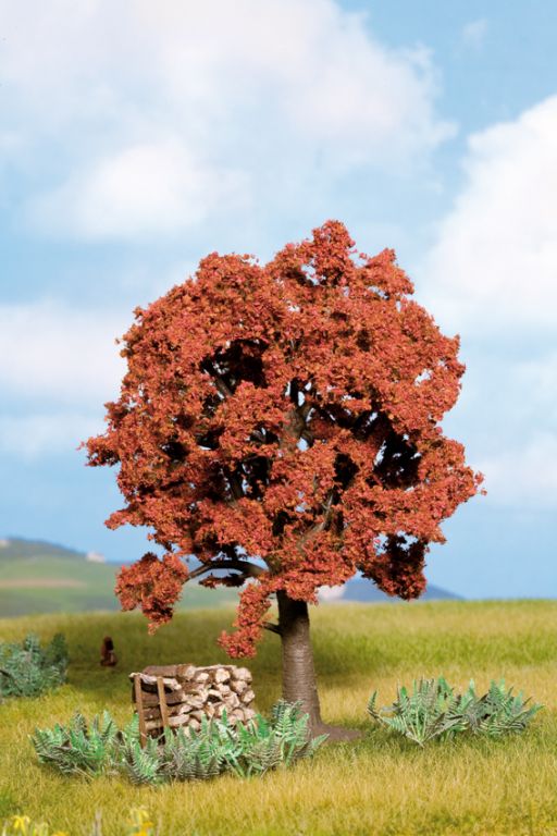 Rotbuche 13cm - NOCH PROFI-Rotbuche Bäume sind ein unverzichtbarer Teil einer r