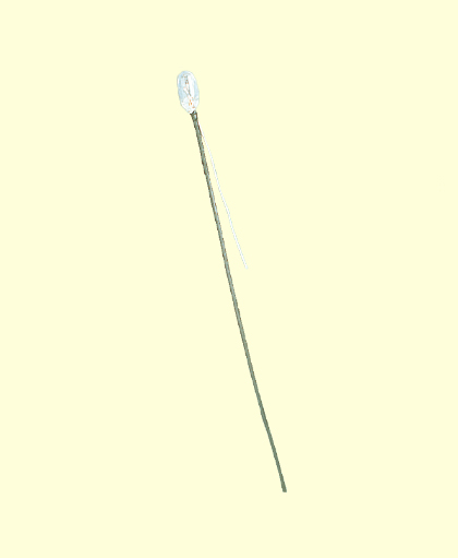 Kabelbirne schw.1Kab - Kabelbirne mit 1 Kabel, 3V/15mA, klar