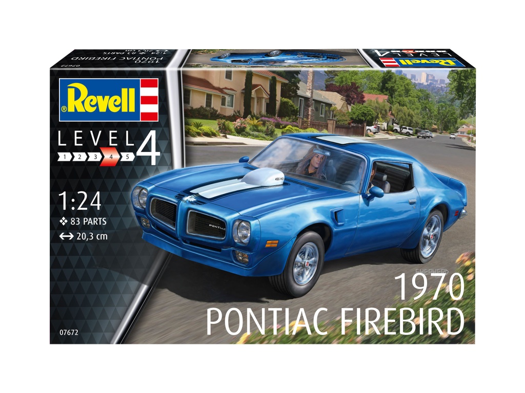 1970 Pontiac Firebird - 1970 Pontiac Firebird